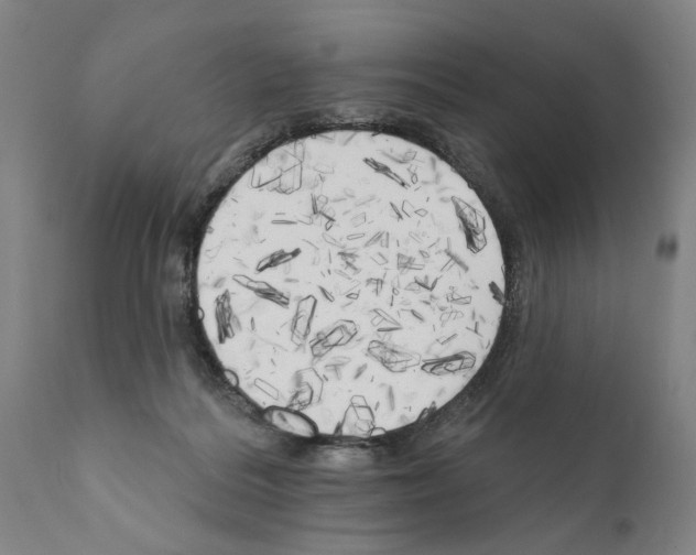 X0000111170220200908121054