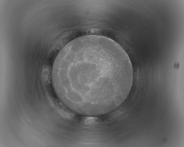 X0000111170222200908121054