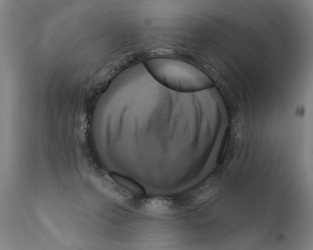 X0000111170223200908121054