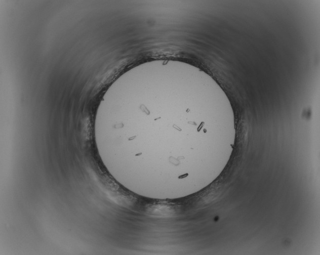 X0000111170224200908121054