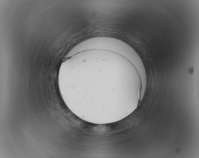 X0000111170225200908121054