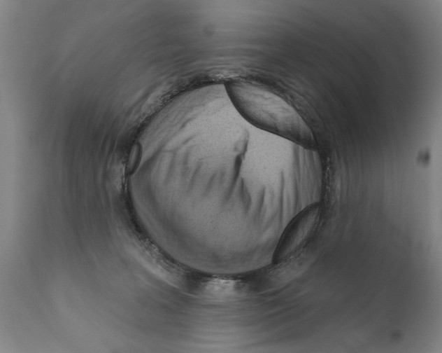 X0000111170227200908121054