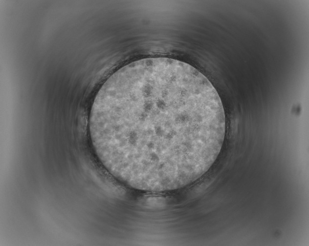 X0000111170228200908121054