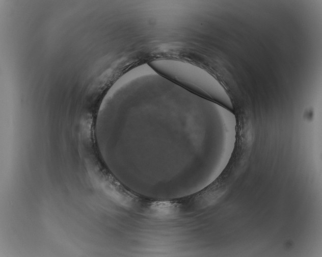 X0000111170231200908121054