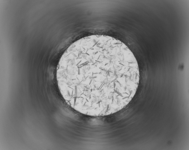 X0000111170232200908121054