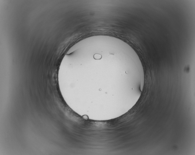 X0000111170233200908121054