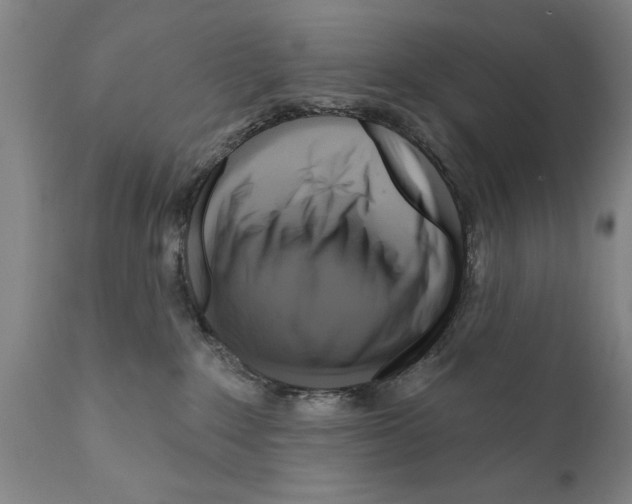 X0000111170235200908121054