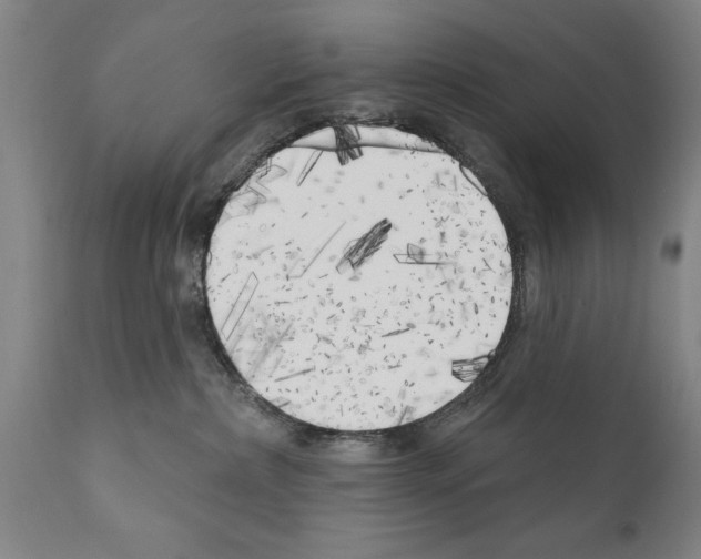 X0000111170236200908121054