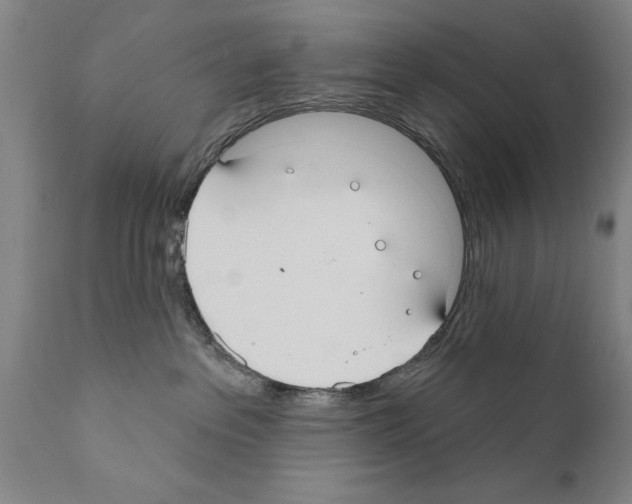 X0000111170237200908121054