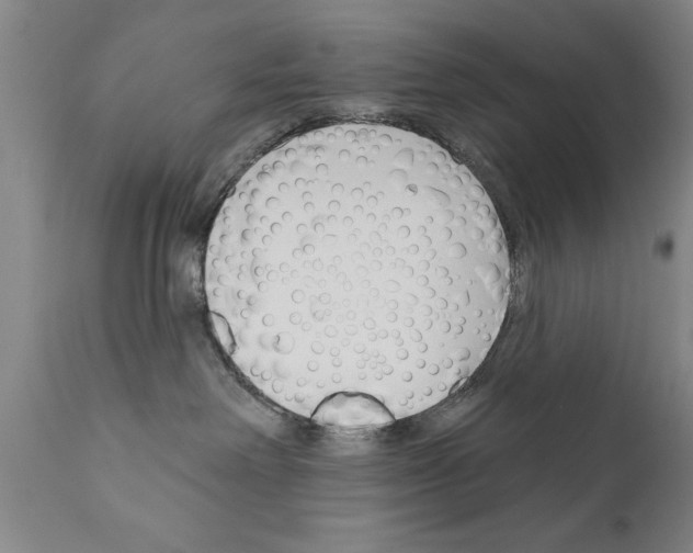 X0000111170238200908121054