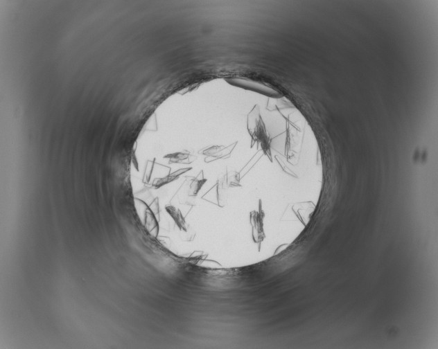 X0000111170240200908121054