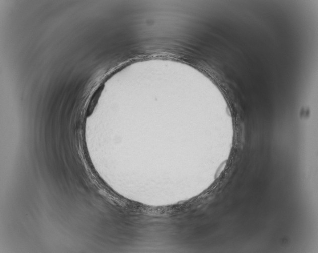 X0000111170241200908121053