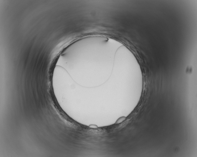 X0000111170245200908121053