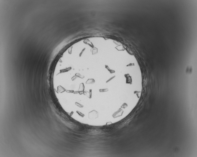 X0000111170246200908121053