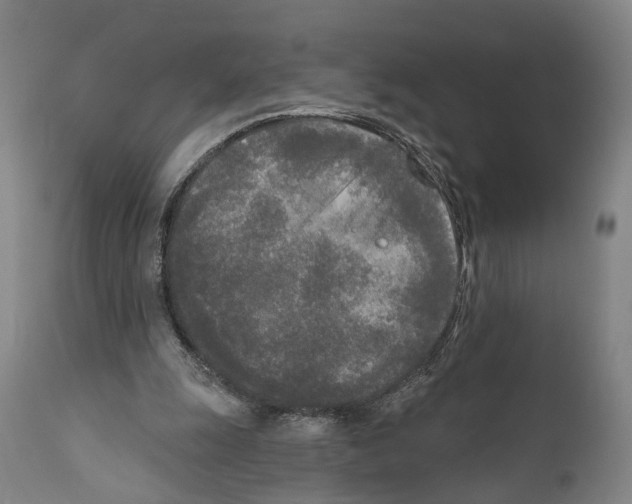 X0000111170247200908121053