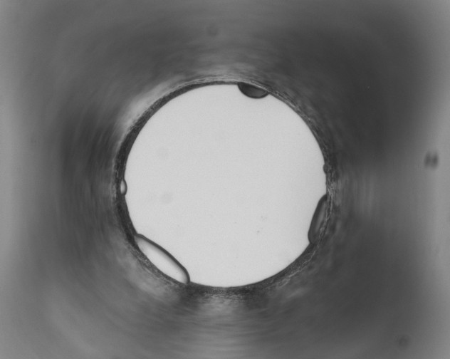 X0000111170248200908121053