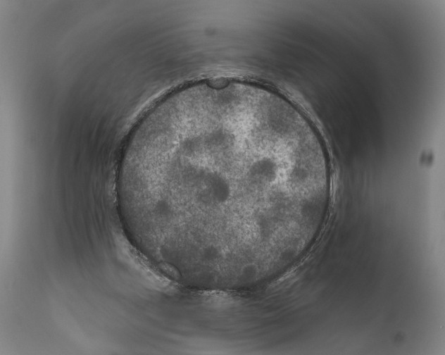 X0000111170249200908121053