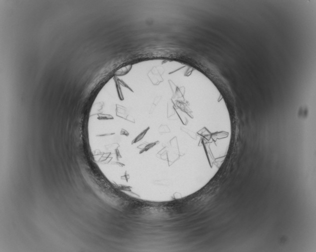 X0000111170250200908121053