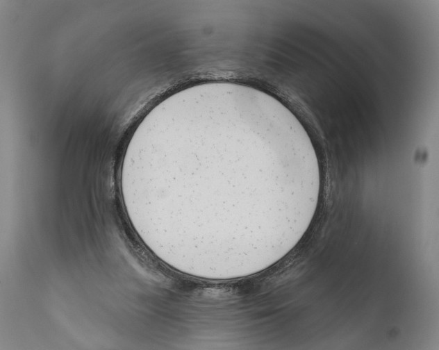 X0000111170251200908121053