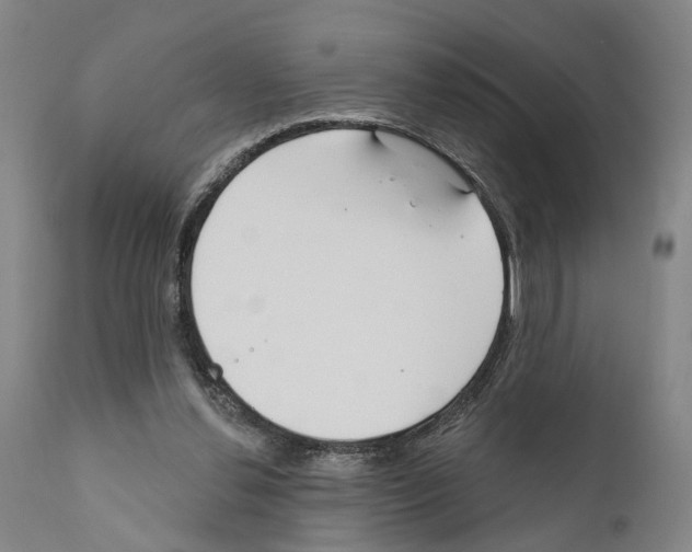 X0000111170252200908121053