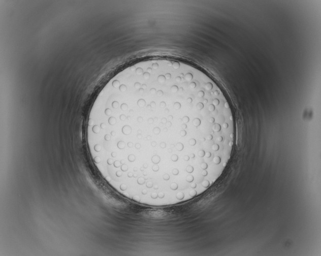 X0000111170253200908121053