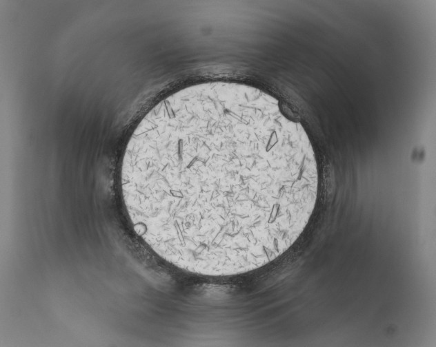 X0000111170255200908121054