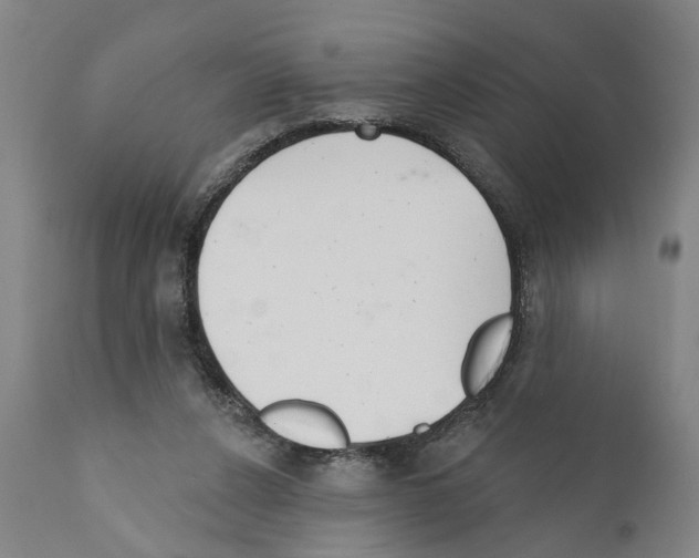 X0000111170256200908121054