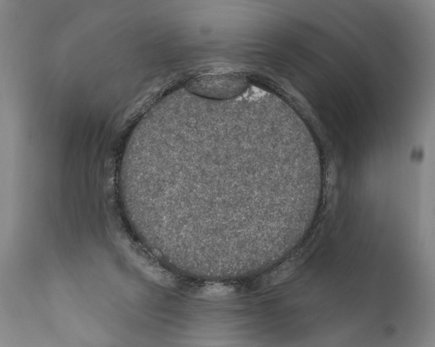 X0000111170257200908121054