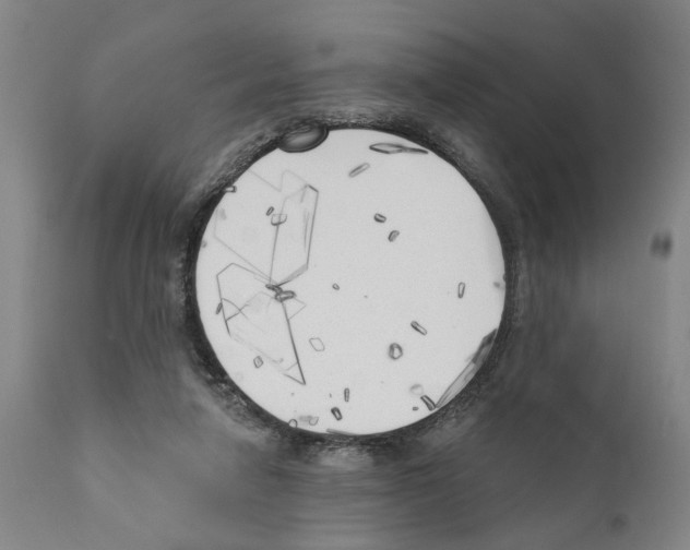 X0000111170258200908121054