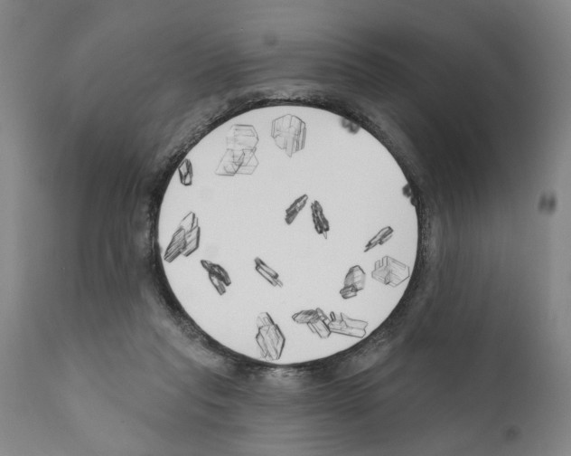 X0000111170261200908121054