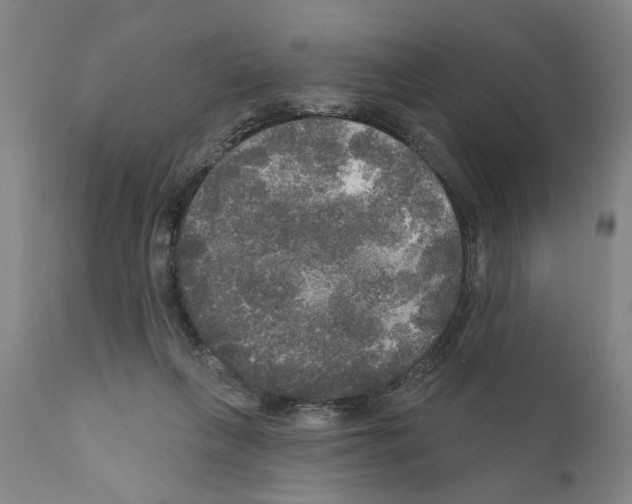 X0000111170263200908121054