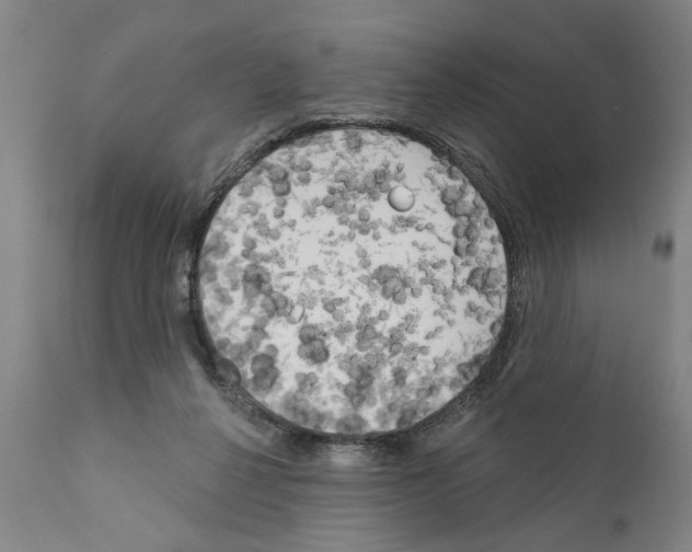 X0000111170264200908121054