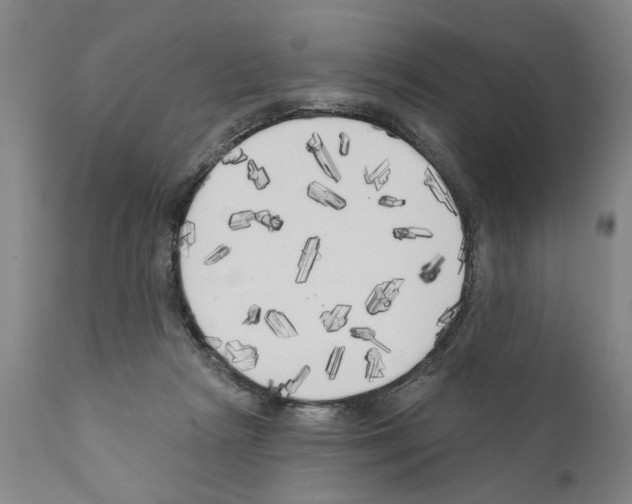 X0000111170265200908121054