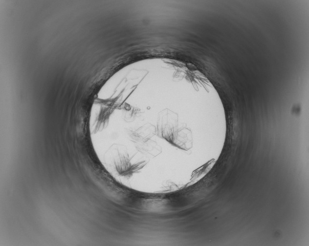 X0000111170266200908121054