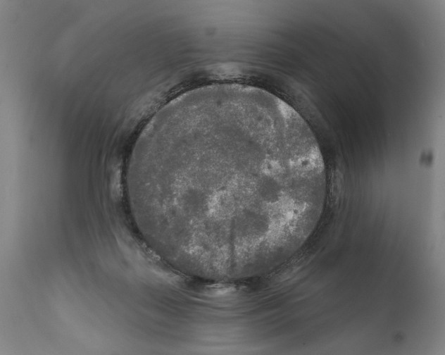 X0000111170267200908121054