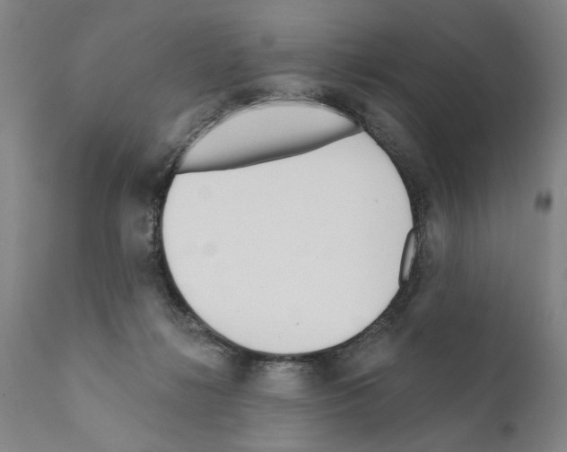 X0000111170268200908121054