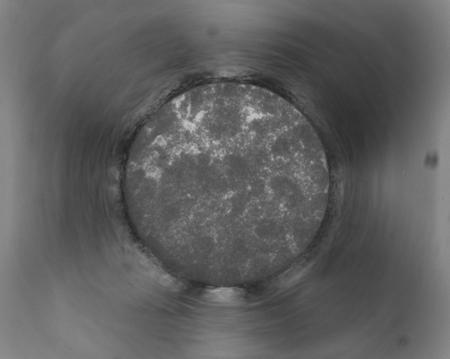 X0000111170269200908121054