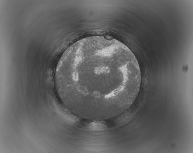 X0000111170270200908121054