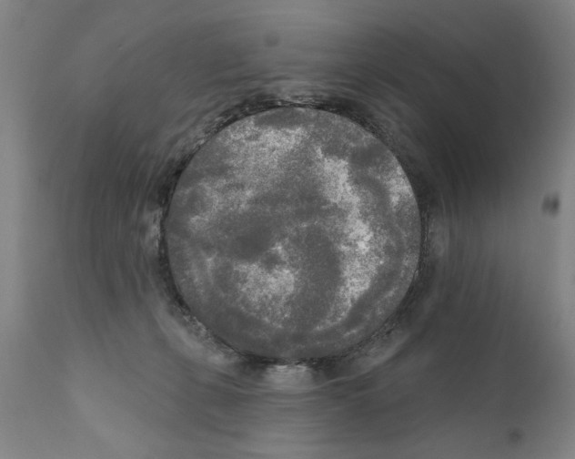 X0000111170271200908121054