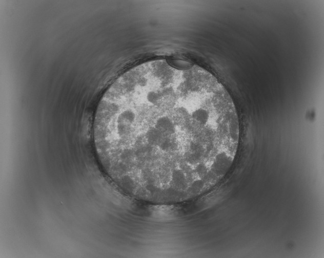 X0000111170273200908121054