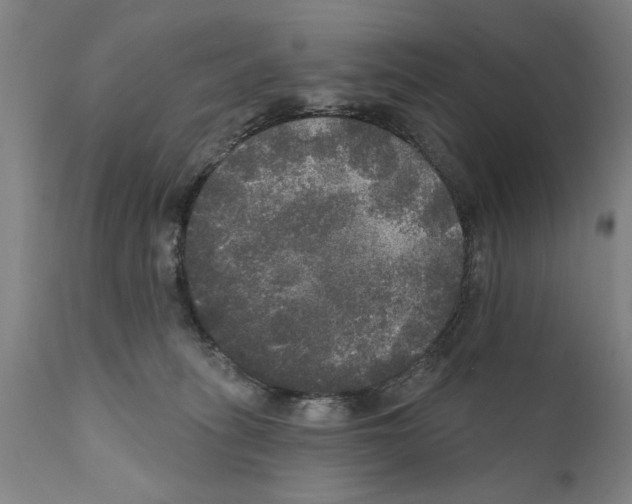 X0000111170275200908121054