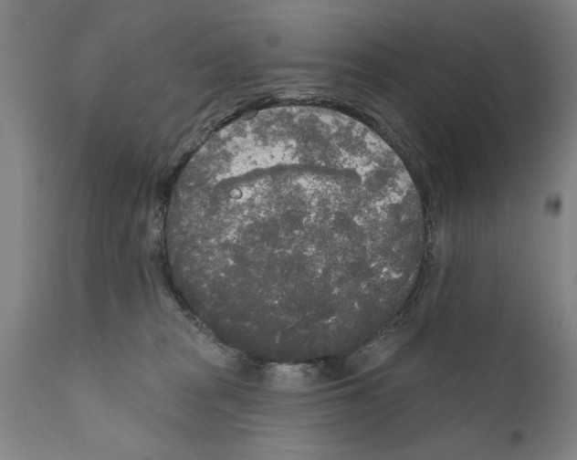 X0000111170277200908121054