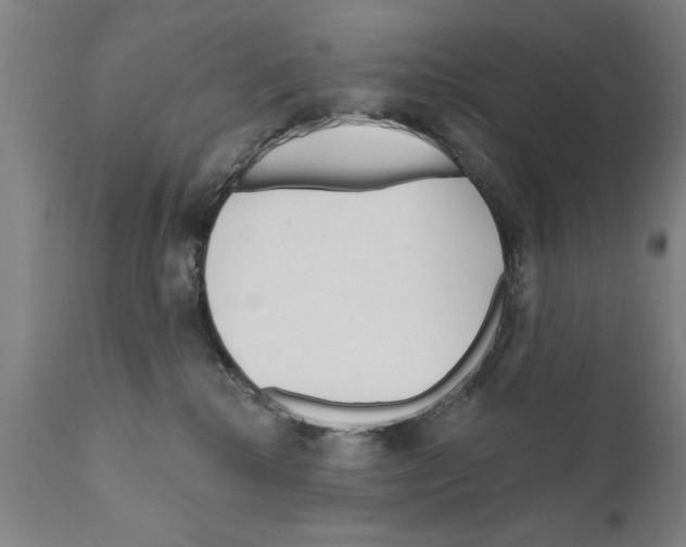 X0000111170280200908121054