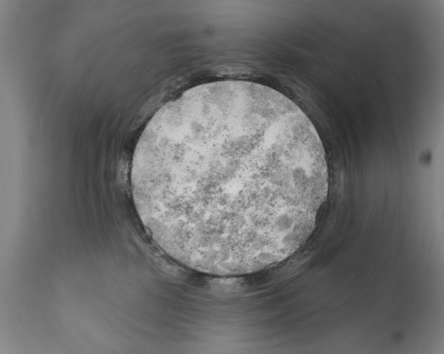 X0000111170281200908121054