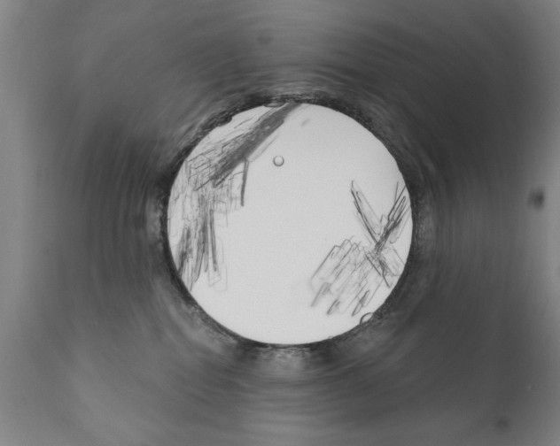 X0000111170282200908121054