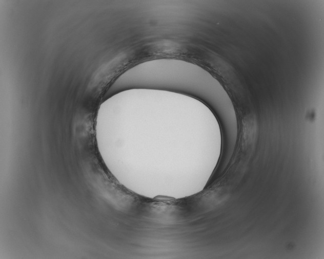 X0000111170284200908121054