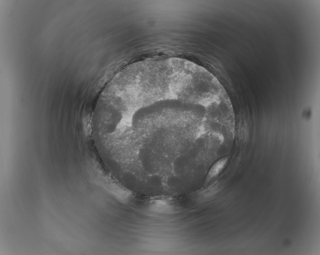 X0000111170285200908121054