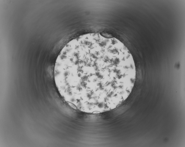 X0000111170286200908121054