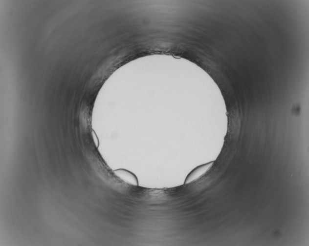 X0000111170287200908121054