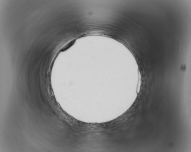 X0000111170289200908121053